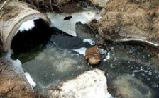  cod能反映水質污染情況嗎？