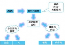  在線水質監測知識篇-化學需氧量COD