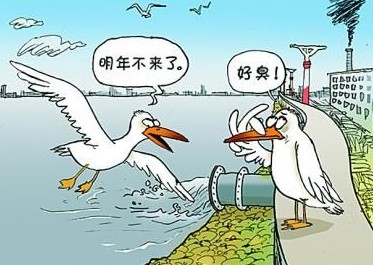  國家飲用水標準及水質合格率是多少？