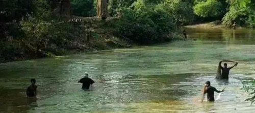 水渾了？不用怕，這五個方面讓水質恢復清新